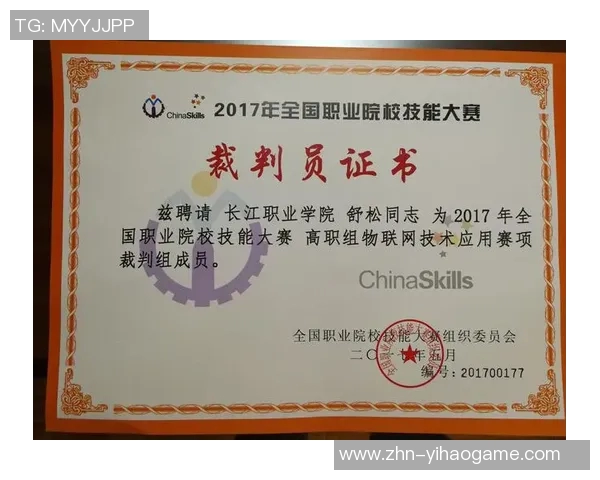 足球裁判工资揭秘：不同级别裁判的薪资差异与职业发展前景分析